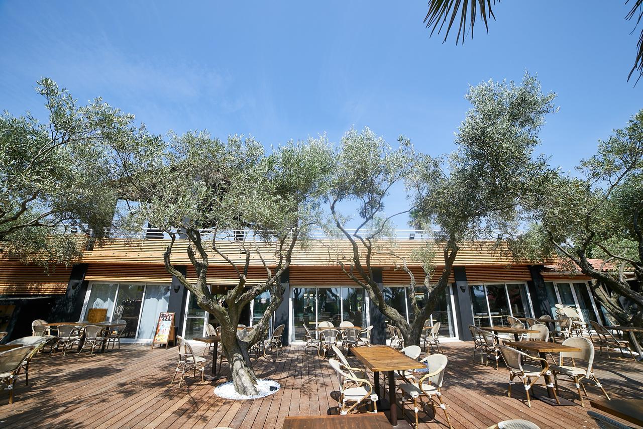 Ecolodge L'Etoile D'Argens Officiel Saint Aygulf Bagian luar foto